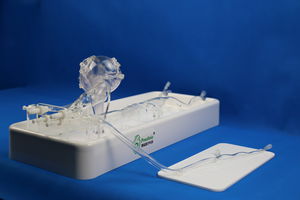 Anatomisches Modell / Koronararterien