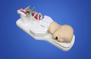 Anatomisches Modell / Magenpförtner