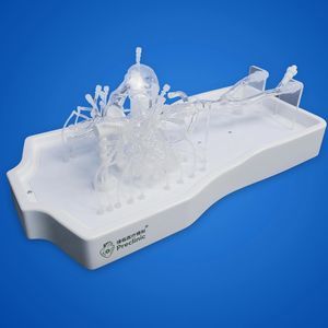 Anatomisches Modell / Lungenarterie