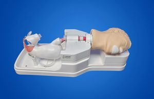 Simulator für Magenspiegelung