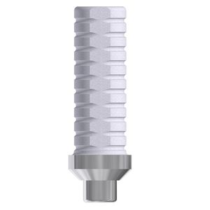 Implantat-Abutment / Titan