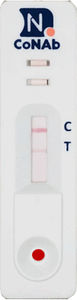 COVID-19-Schnelltest