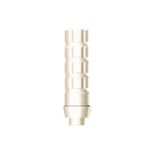 zylindrisches Implantat-Abutment 1