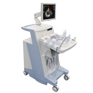 plattformmontiertes Ultraschallgerät