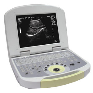 tragbares Ultraschallgerät