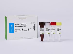 Reagenzkit für Echtzeit-PCR 1