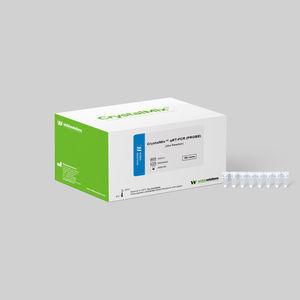 Reagenzkit für RT-PCR
