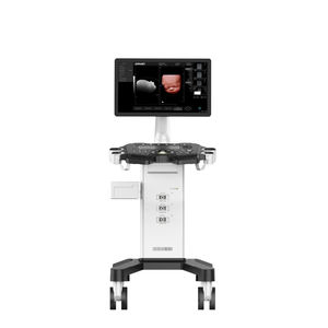Ultraschallgerät mit Konsole