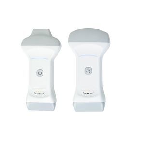 konvexe Ultraschallsonde 1