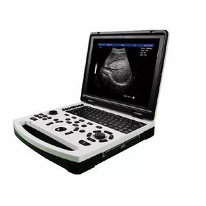 tragbares Ultraschallgerät 1