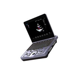 plattformmontiertes Ultraschallgerät 1
