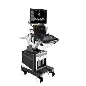 plattformmontiertes Ultraschallgerät 1