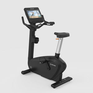 Heimtrainer 1
