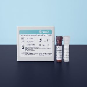 Testkit für Typhus