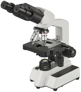 optisches Mikroskop 1