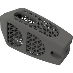LWS-Zwischenwirbelimplantat 1