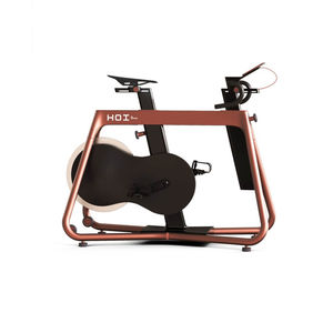 Heimtrainer 1