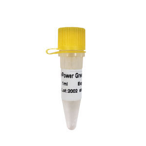 Taq-Polymerase-Reagenzkit 1