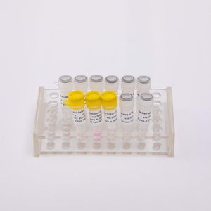 Taq-Polymerase-Reagenzkit 1