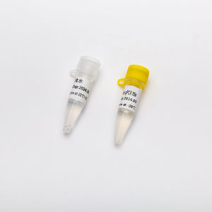 Taq-Polymerase-Reagenz