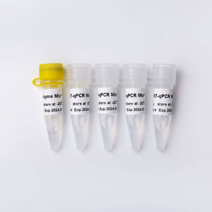 DNA-Polymerase-Reagenzkit 1