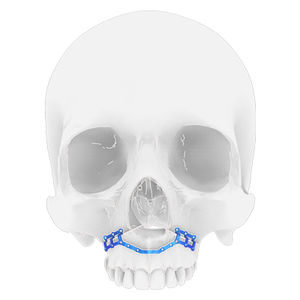 Osteotomieplatte für Oberkiefer