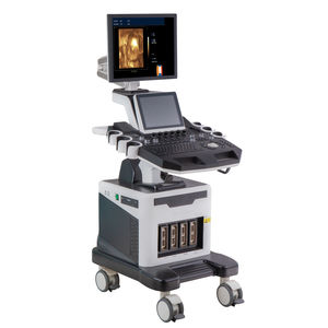 plattformmontiertes Ultraschallgerät