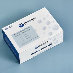 Grippe-Testkit