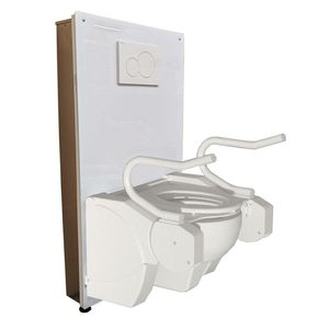 Toilettenlift mit Armlehnen
