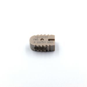 LWS-Zwischenwirbelimplantat 1
