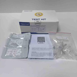 Testkit für Infektionskrankheiten 1
