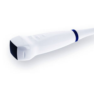Phased-Array-Ultraschallsonde