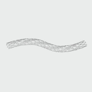 Koronararterien-Stent 1