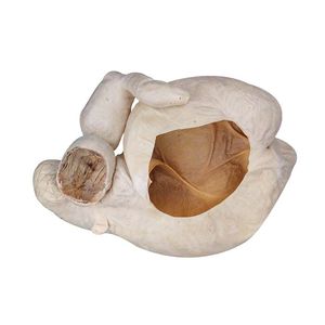 anatomisches Magenmodell 1