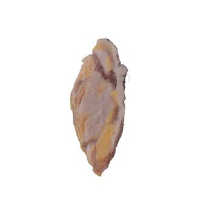 Anatomisches Modell / Brust