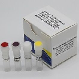 Reagenzkit für Sanger- Sequenzierung