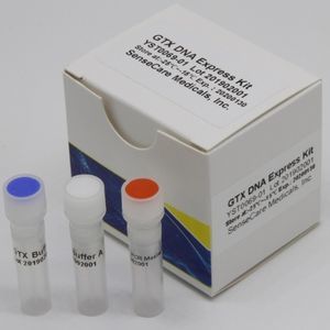 Reagenzkit für DNA-Extraktion