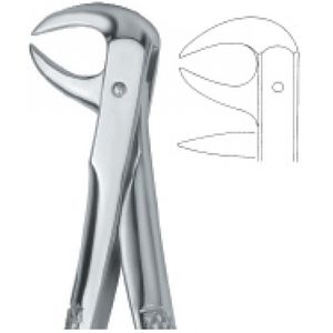Dentale Extraktionszange / für Molaren