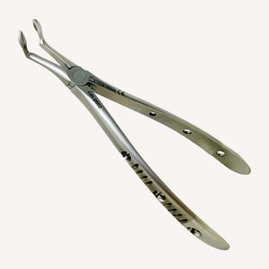 Dentale Extraktionszangen / für Erwachsene
