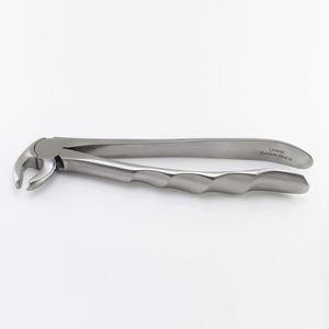Dentale Extraktionszange / für untere Molaren