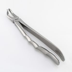 Dentale Extraktionszange / für untere Molaren 1
