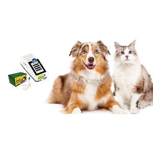 Testkit für Katzenleukämie