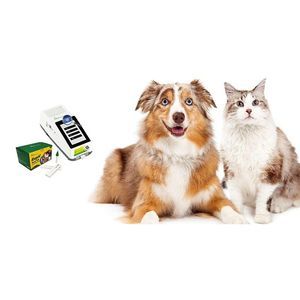 Testkit für Katzenleukämie