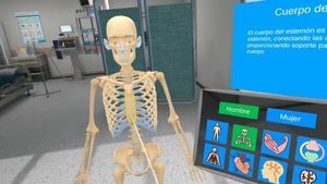 Virtual-Reality-Plattform / Anatomie 1