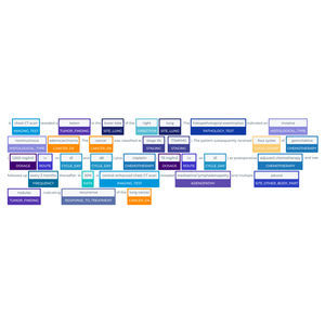 medizinische Software 1