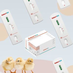 Schnelltest für Infektionskrankheiten 1