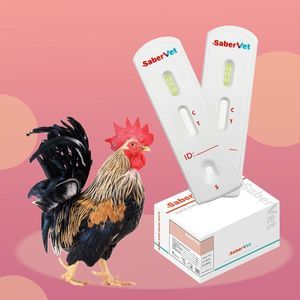 Schnelltest für Infektionskrankheiten 1