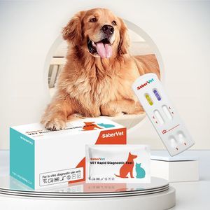 Atemwegserkrankungen-Schnelltest 1