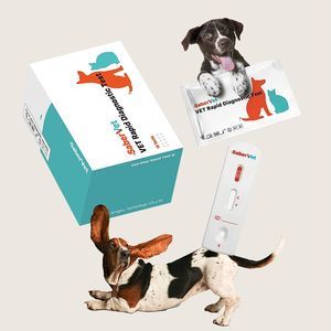 Lyssavirus-Schnelltest 1