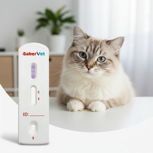 Schnelltest für Infektionskrankheiten 1
